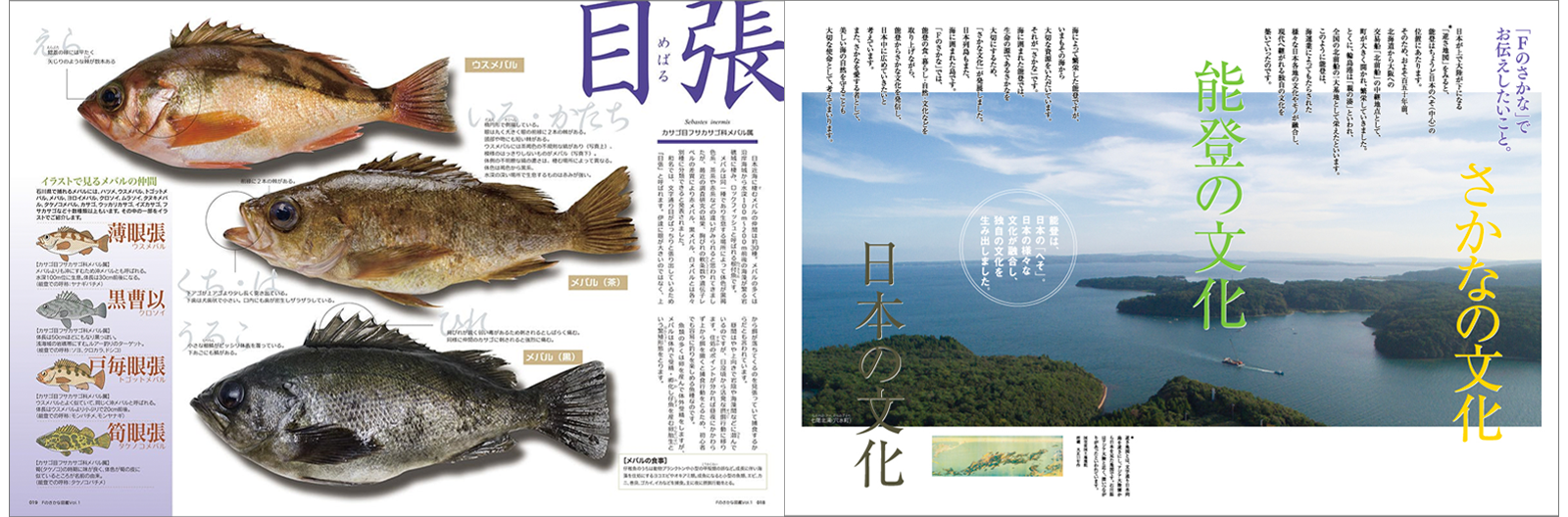 能登のさかな文化を守りたい！Fのさかな復興プロジェクト - CAMPFIRE