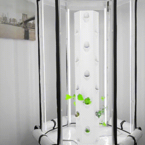 全自動家庭菜園「エアロスプリング」農薬不使用の野菜栽培をしてみませ