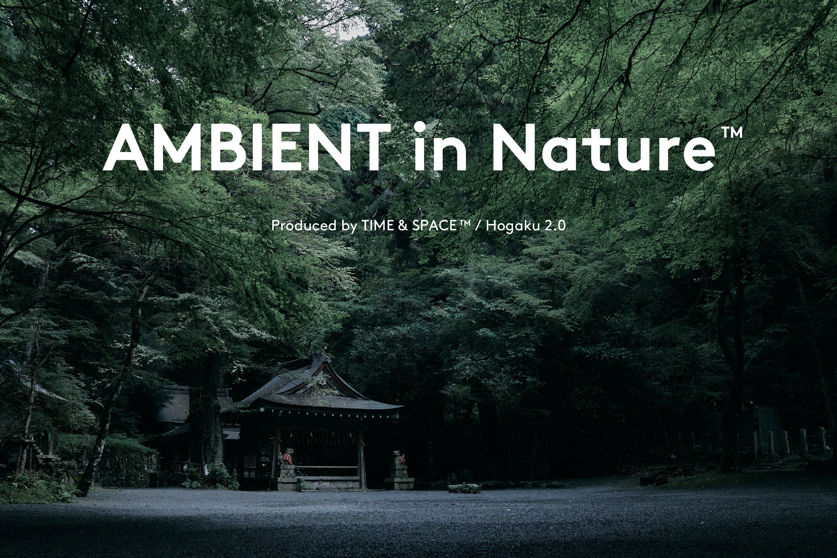 夜の大自然×日本の音色×アンビエント音楽』京都・貴船神社にて特別LIVE