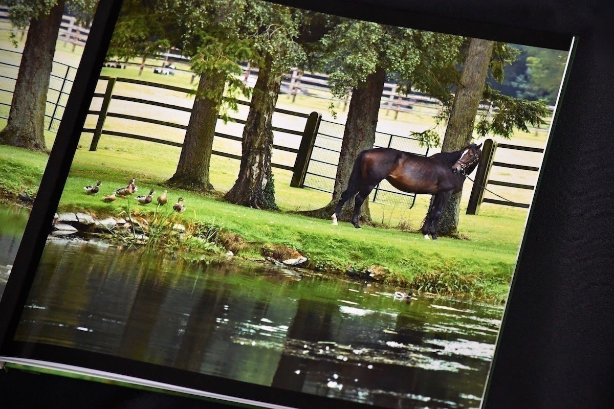 写真集【 #ウオッカinアイルランド 】ファンver. 名馬ウオッカよ永遠に