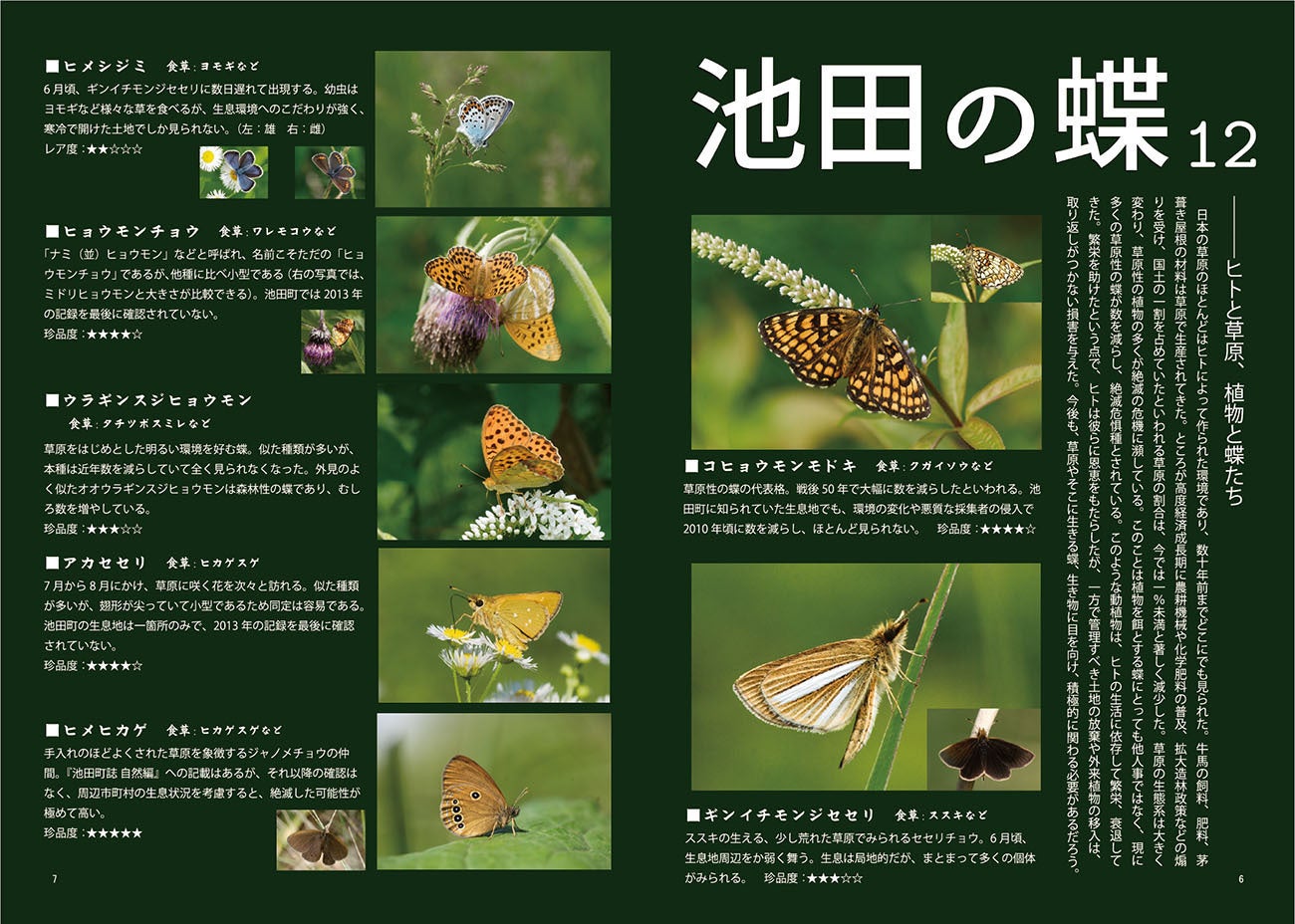 3/17まで掲載：日本の稀少蝶 地域特産種・局地発生（亜）種 3/17まで