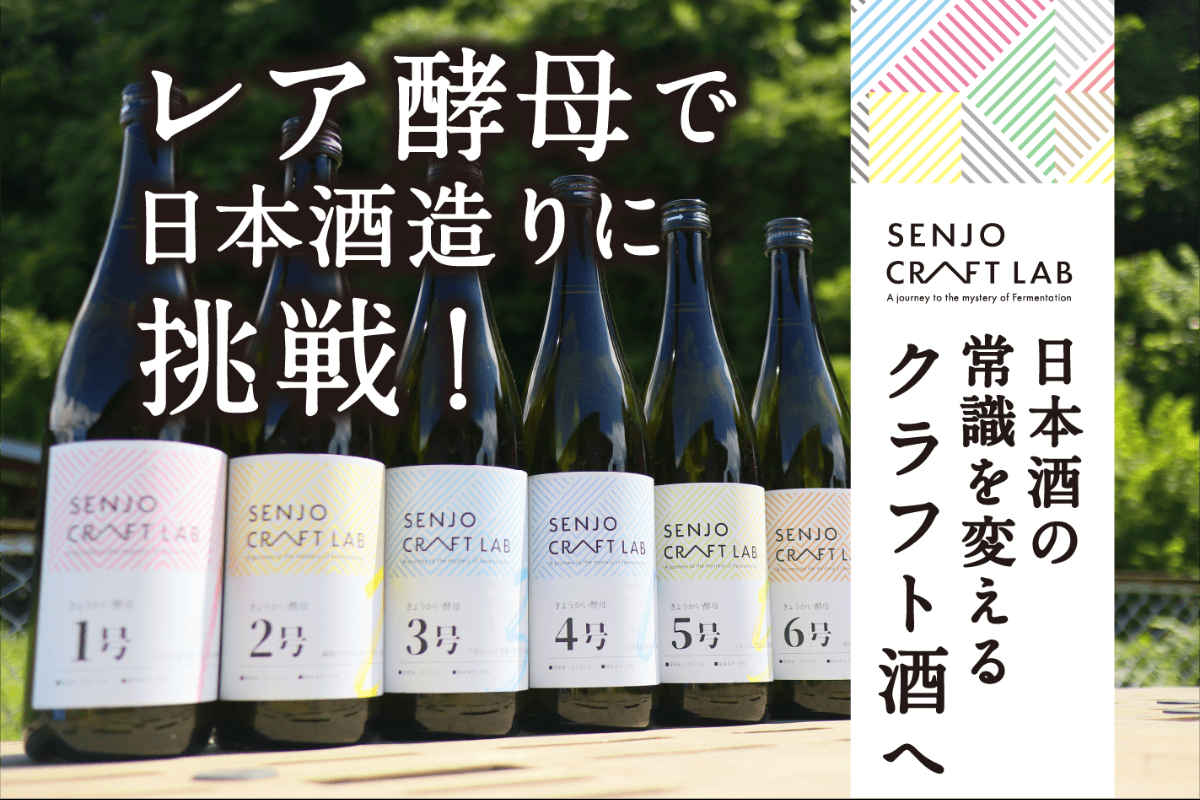 レア酵母で造る、夏のクラフト酒(6種)を皆様と飲み比べたい