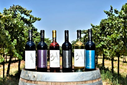 日本初上陸 ソロモン王のブドウ畑からお届けするイスラエルワイン