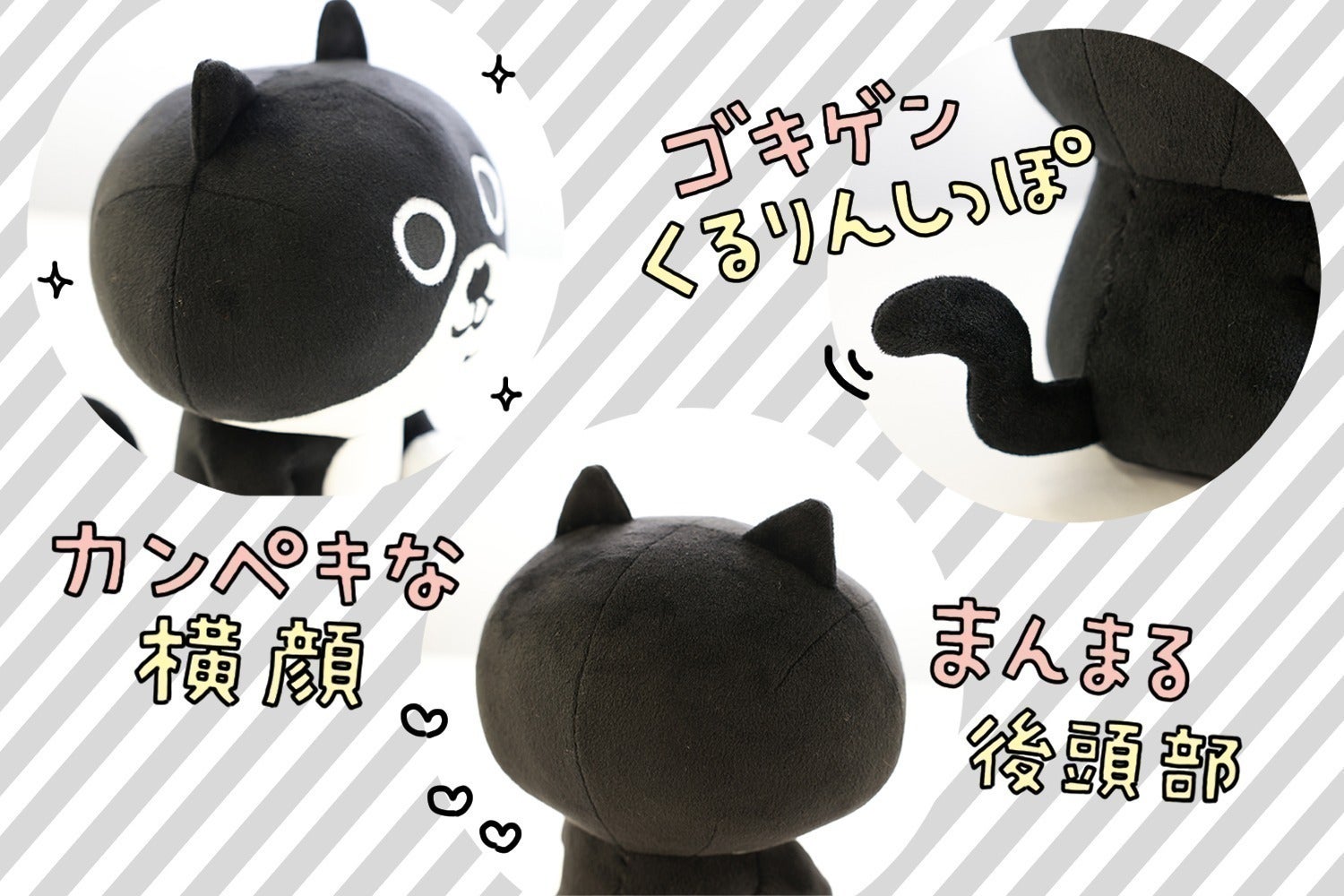 ちょびヒゲ「クロちゃん」のぬいぐるみプロジェクト！ - CAMPFIRE