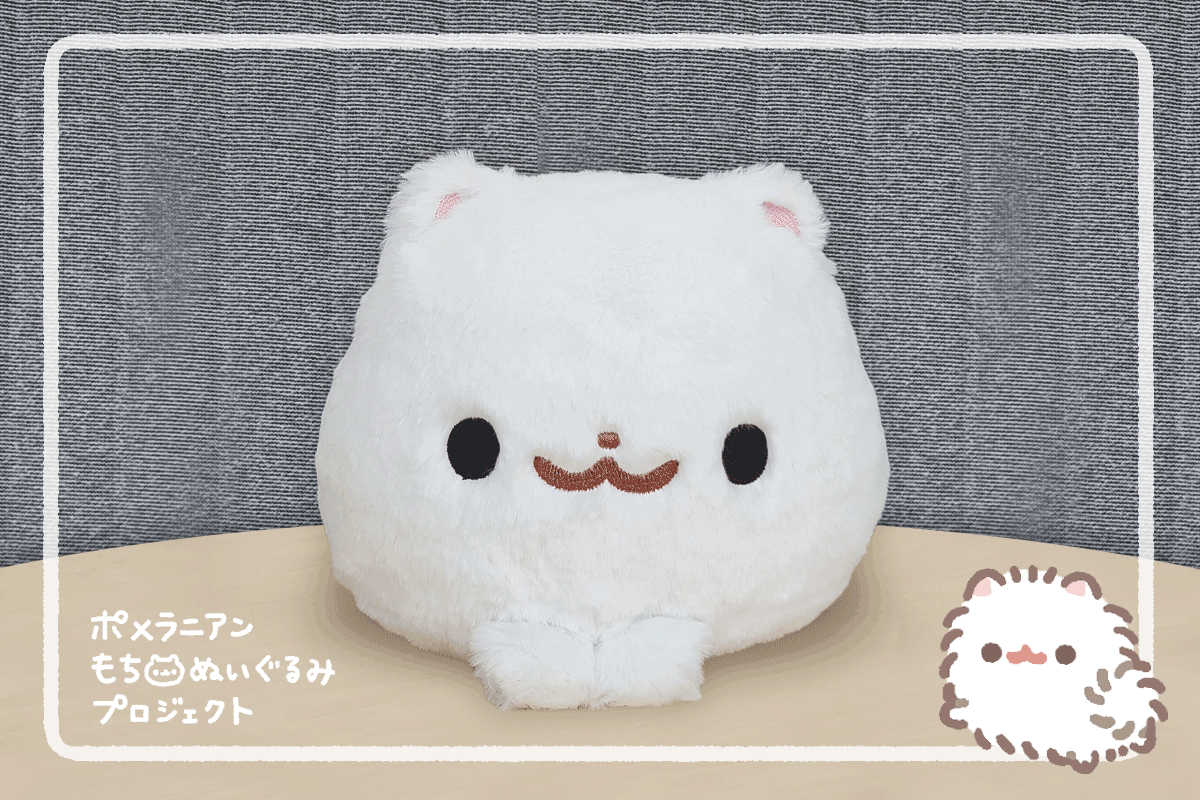 ポメラニアンもち ぬいぐるみプロジェクト - CAMPFIRE (キャンプ