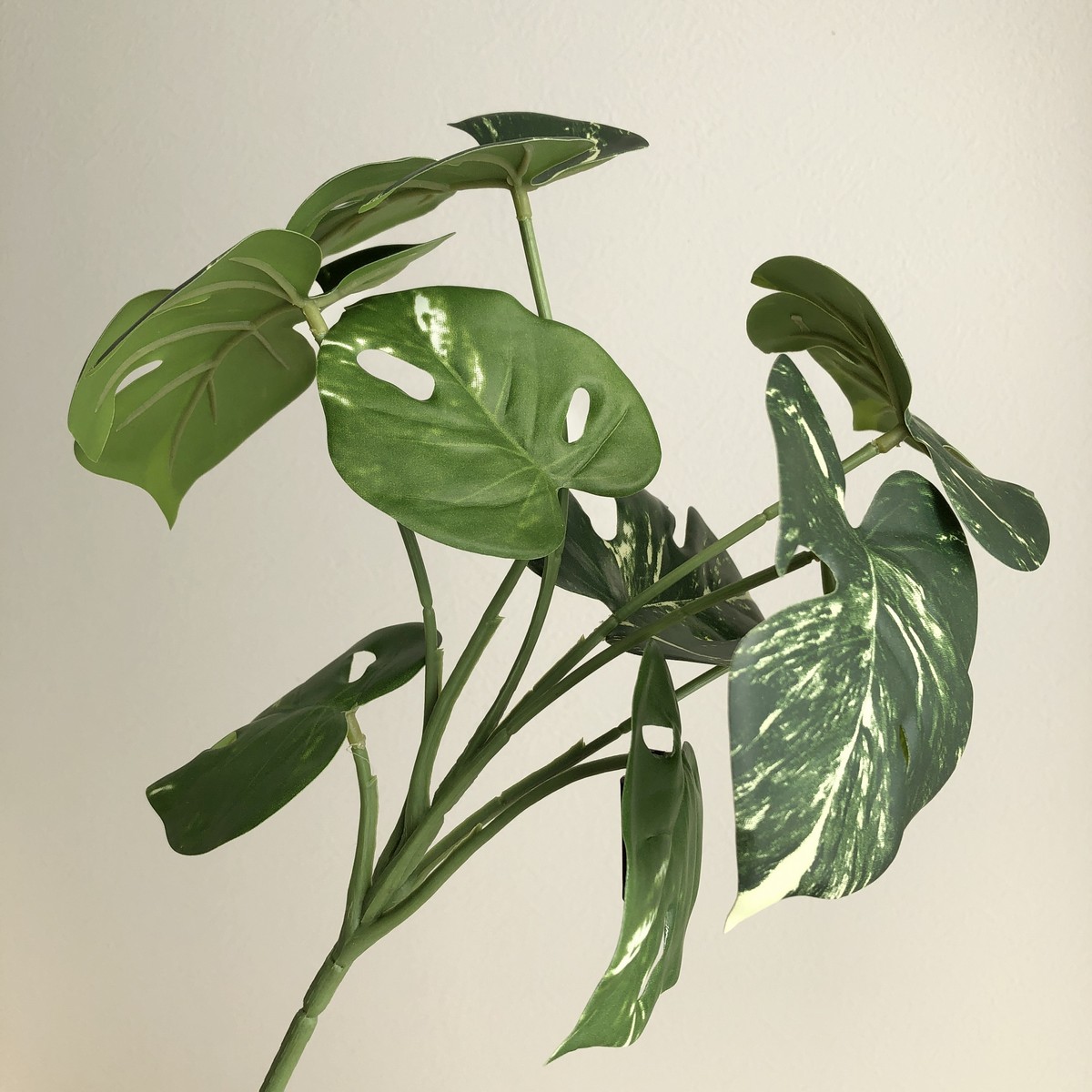 造花】アスカ/モンステラブッシュ ヴァリゲイトグリーン/A-44438-51V