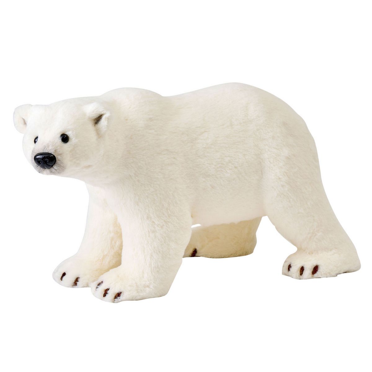 ポーラーベア WHITE/XZ000125 - 花材通販はなどんやアソシエ