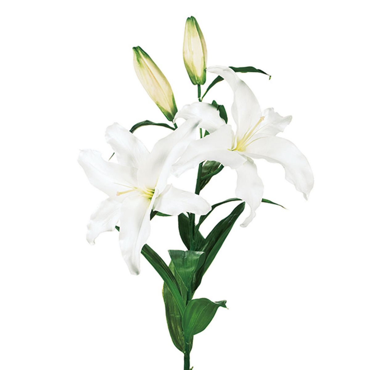 造花】東京堂/オードリーカサブランカ 2輪 WHITE/FW032306 - 花材通販