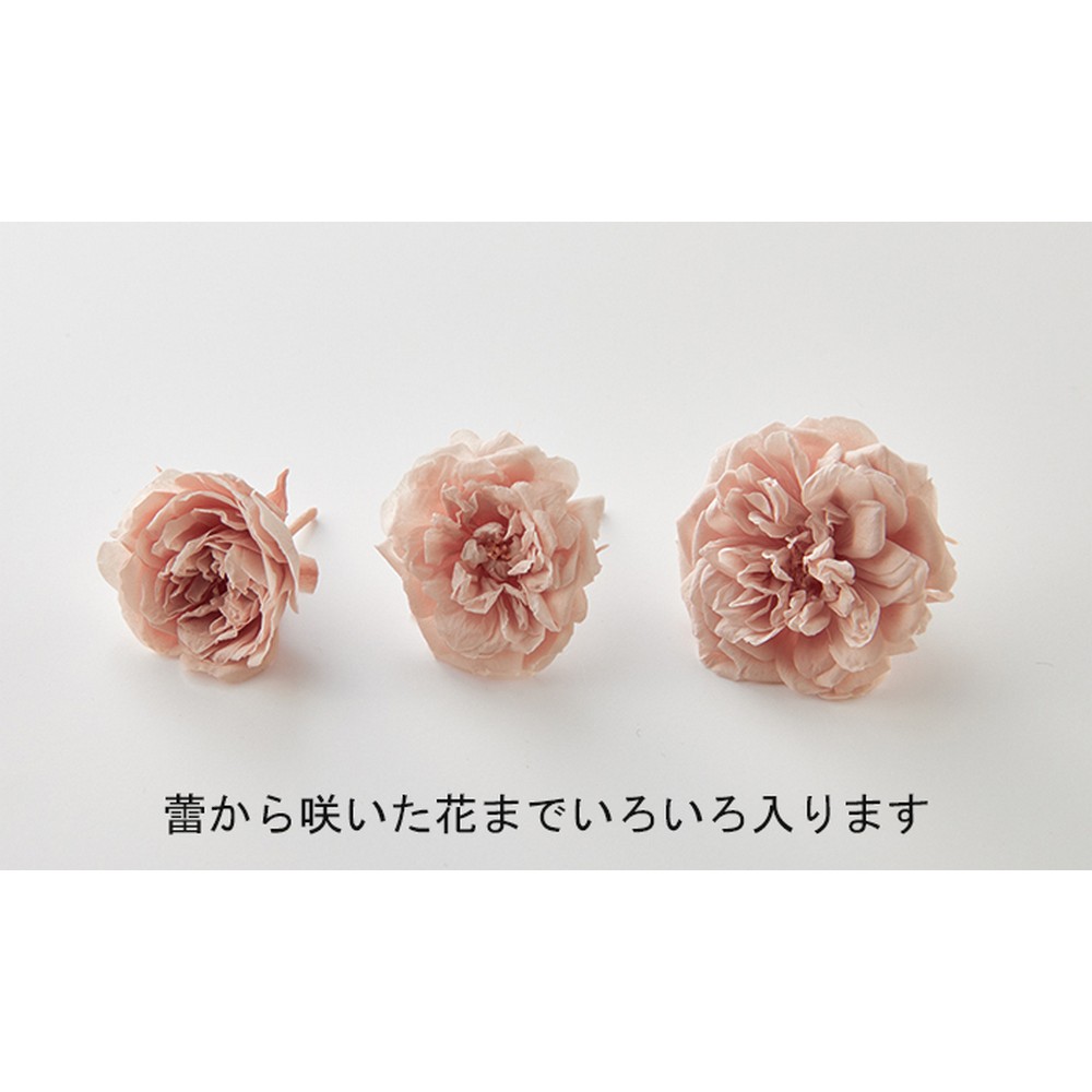 即日☆【プリザーブド】大地農園/ローズ・グリーンアイス 12輪 ピュア