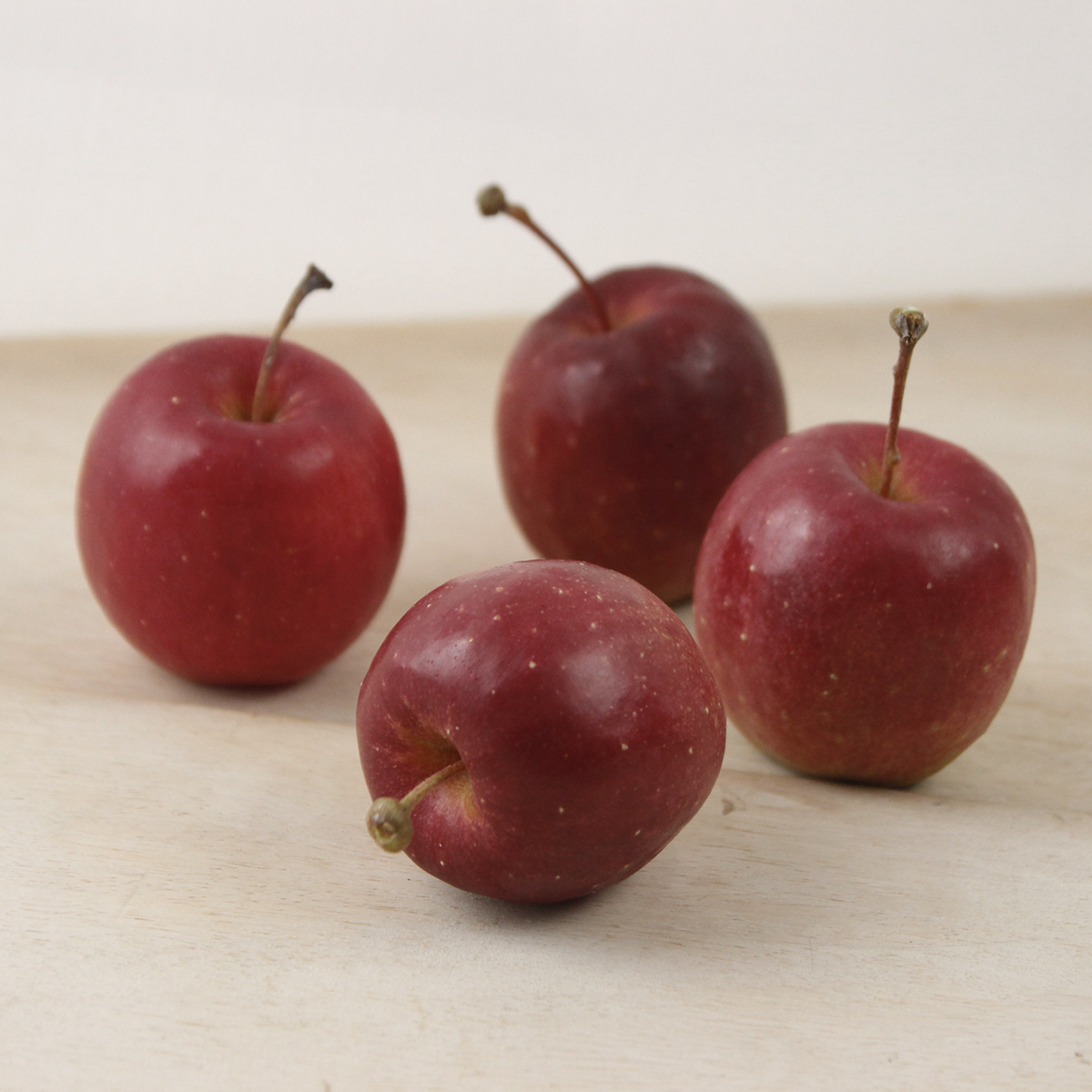 直前!!!】姫リンゴ(赤)Lサイズ - 花材通販はなどんやアソシエ