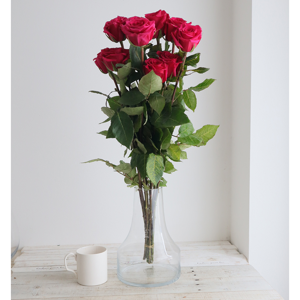 生花/予約】大輪エクアドルローズ クイーンベリーなど(濃いピンク)70cm