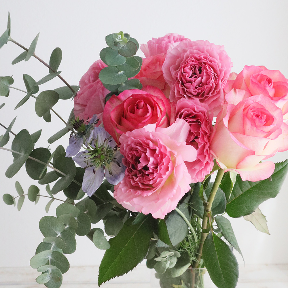 直前!!】バラ ジュミリア 複色ピンク 60センチ程度 - 花材通販はなどん