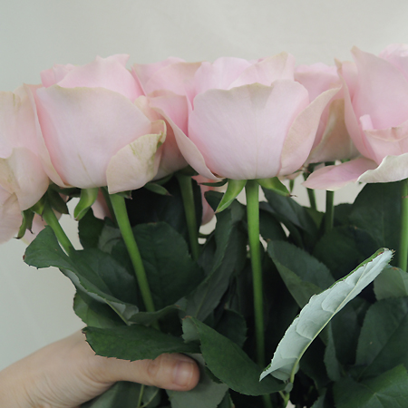 生花】バラ オール4ハート+(淡いピンク) クニエダ株式会社 ☆早締切-74