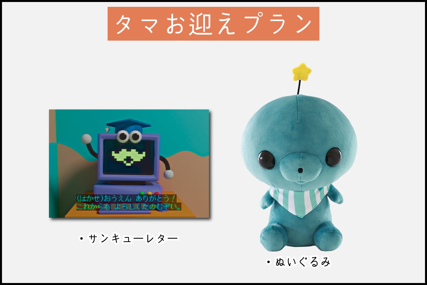 教育番組 タマ ぬいぐるみ化企画 - CAMPFIRE (キャンプファイヤー)