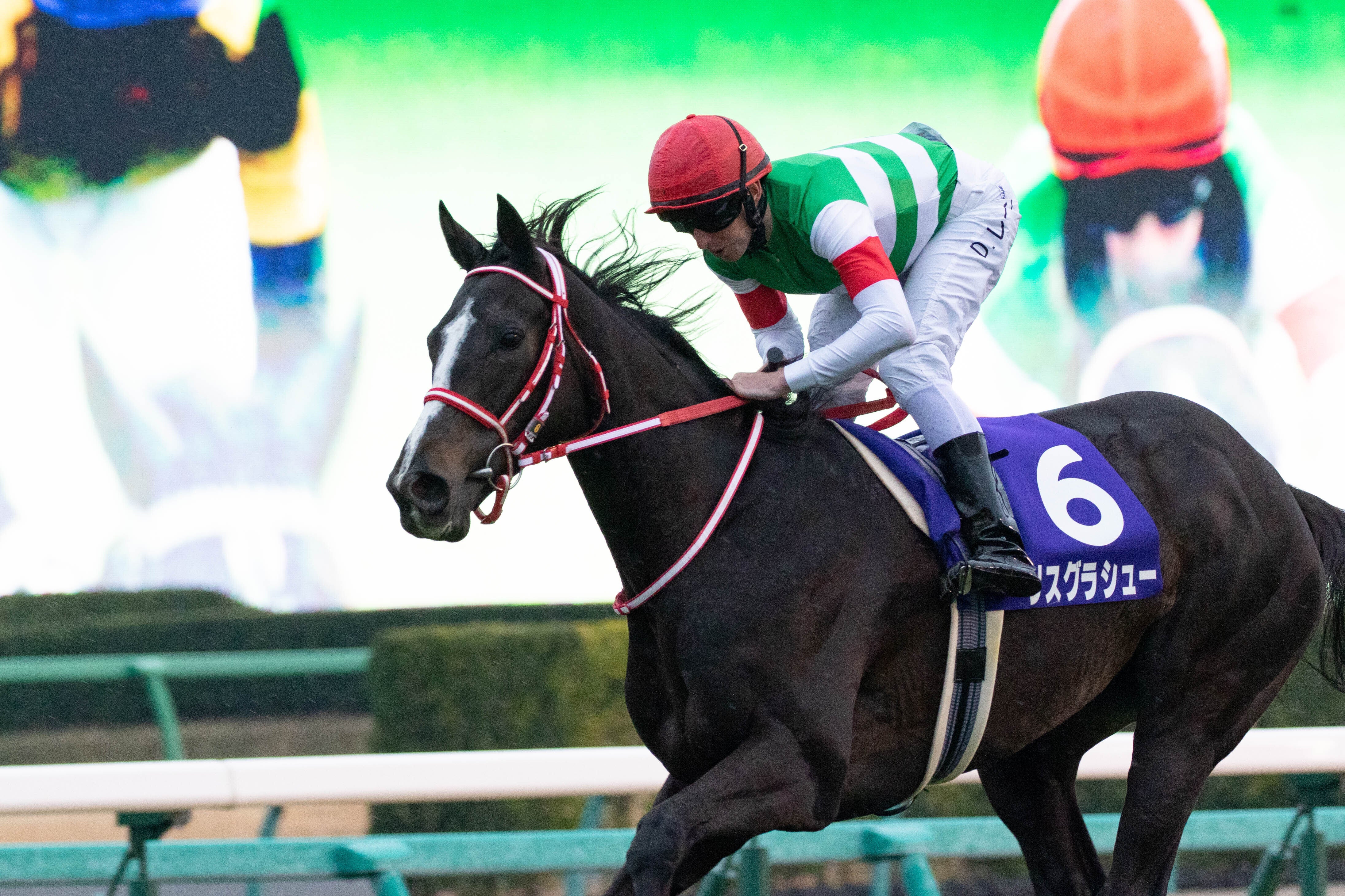 D.レーン騎手直筆サイン入りリスグラシュー号コースに関して