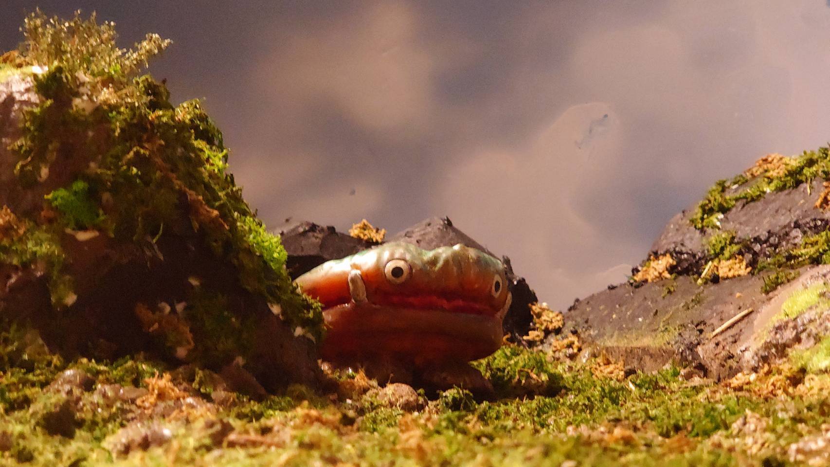 50038.jpg?ixlib=rails-2.1.4&