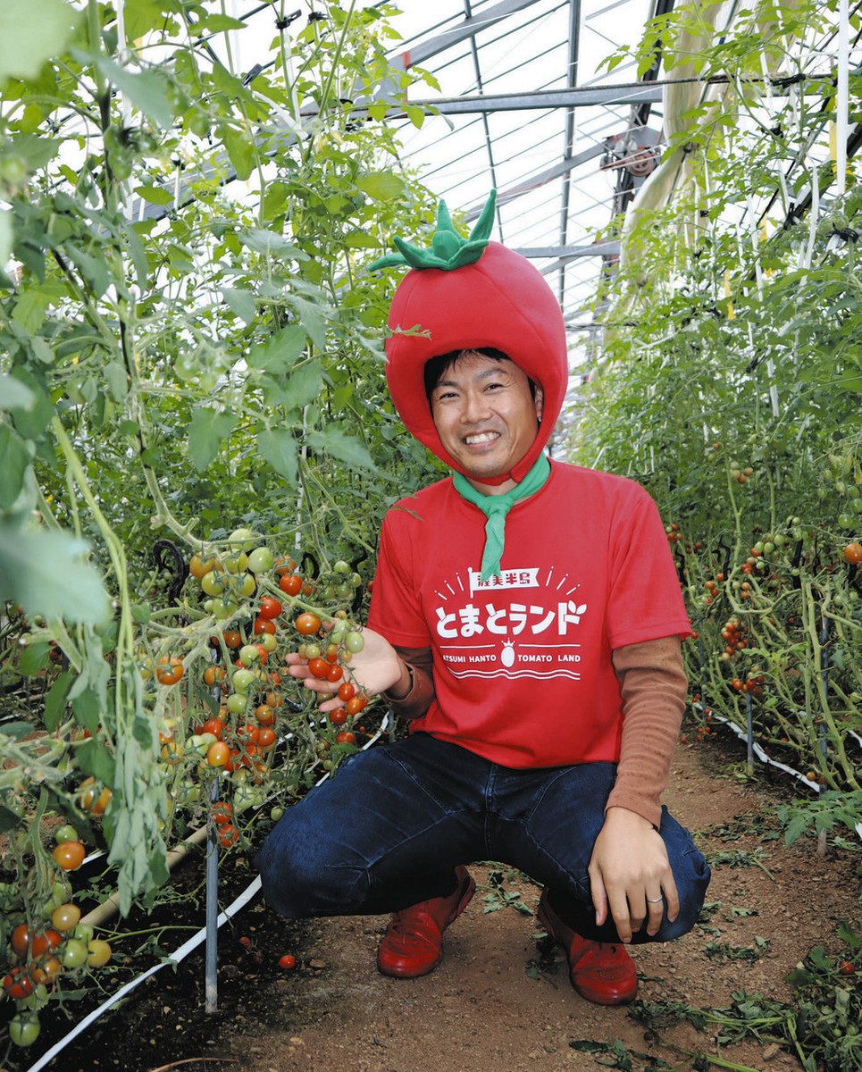 日本一高いミニトマト！お値段なんと10万円 付加価値は生産者との対話