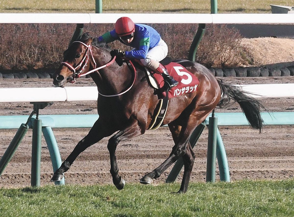 競馬】パンサラッサが引退、種牡馬入り 大逃げで沸かせたジャパンCが