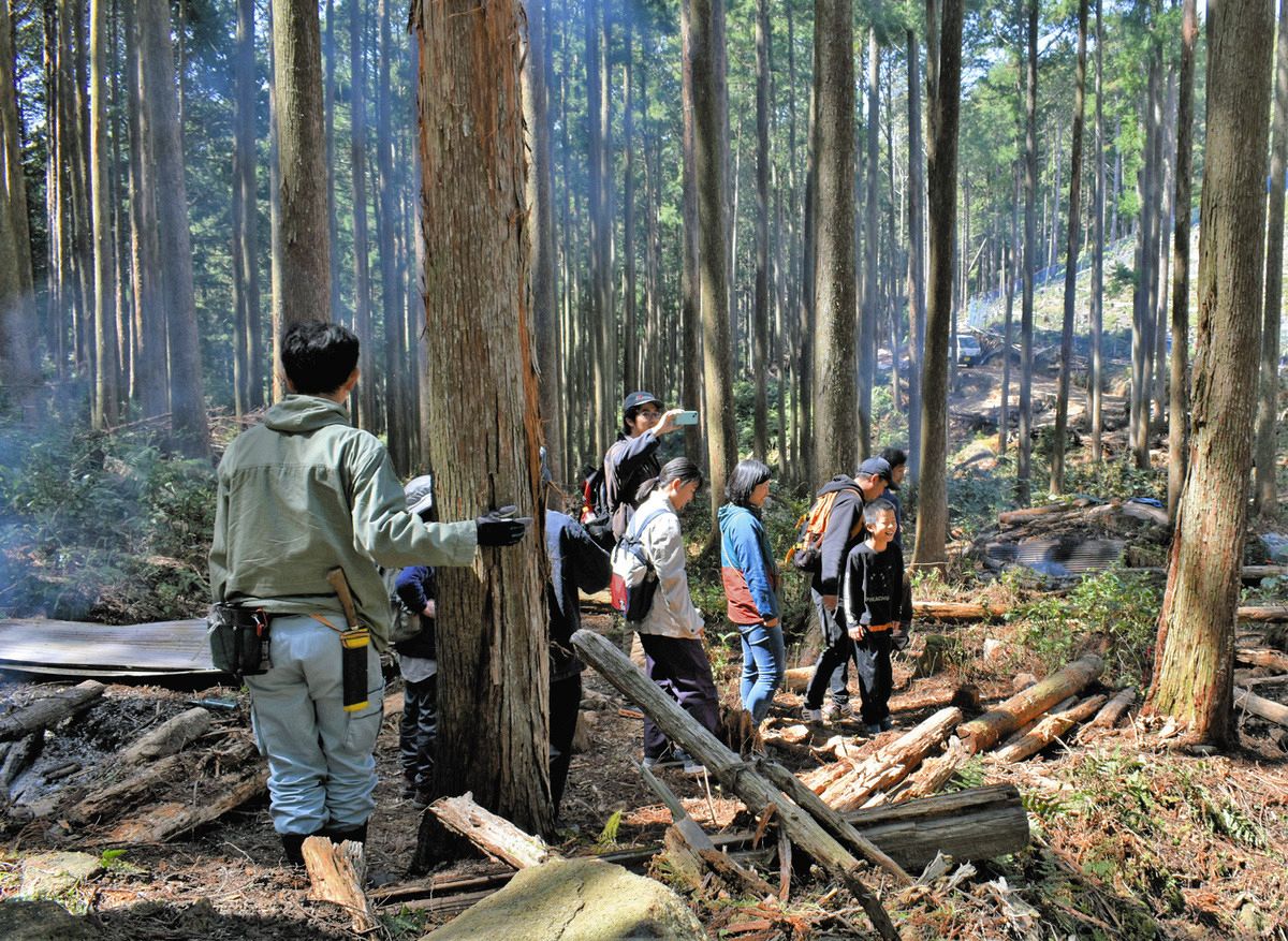 森林保全でデジタルアートを楽しむ 9割森林の尾鷲市、CO2排出権をNFTで