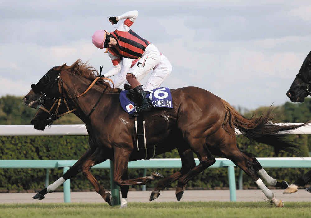 スプリンターズS】8歳馬ウインカーネリアンがG1初制覇、三浦皇成は騎手