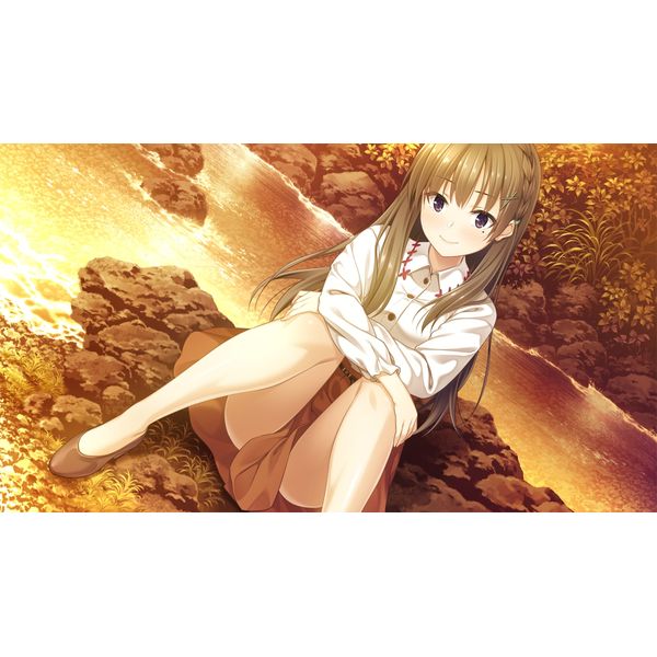 ゲーム: フルキスSS 【完全生産限定版】 【Switchソフト】: エンター