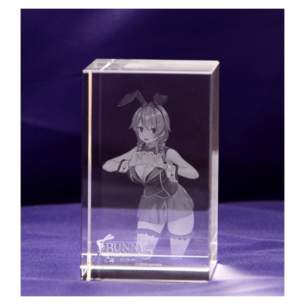 ゲーム: バニーガーデン 入店セット ファミ通DXパック(ハーレムVIP