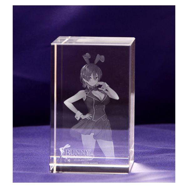 ゲーム: バニーガーデン 入店セット ファミ通DXパック(ハーレムVIP