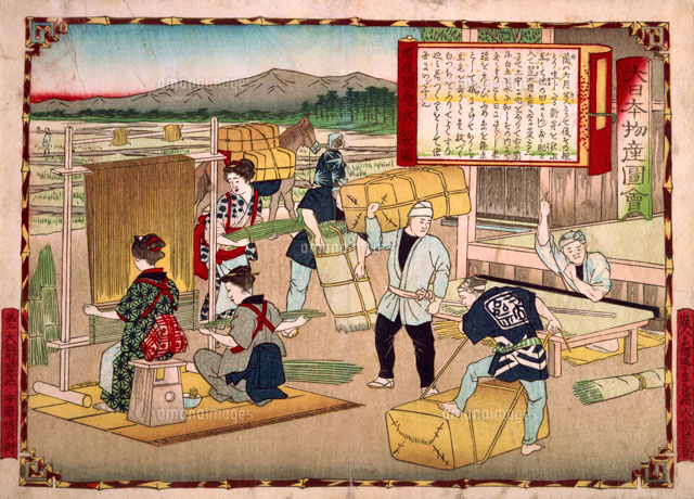 三代広重 大日本物産図会 備後国畳表[22451013193]の写真・イラスト