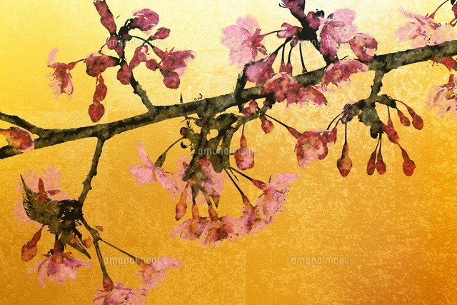 桜と金屏風（フォトイラスト）[10404006073]の写真・イラスト素材