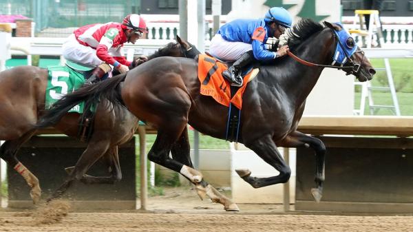 east_avenue_matt_winn_coady.