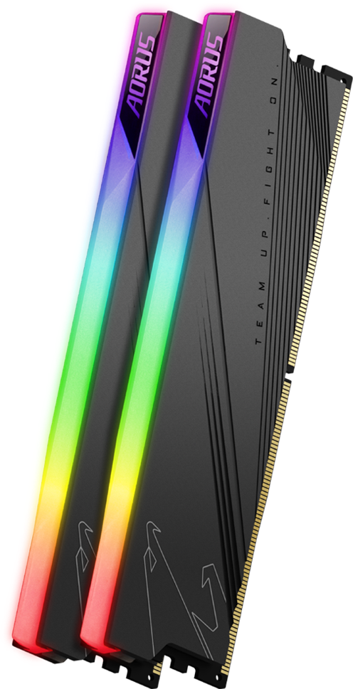 AORUS RGB Memory DDR5 32GB (2x16GB) 6000MT/s - GIGABYTE Global