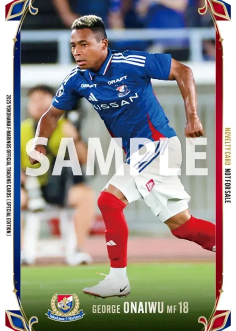 11/15（土）新商品およびカードフェスタ開催のお知らせ | ニュース