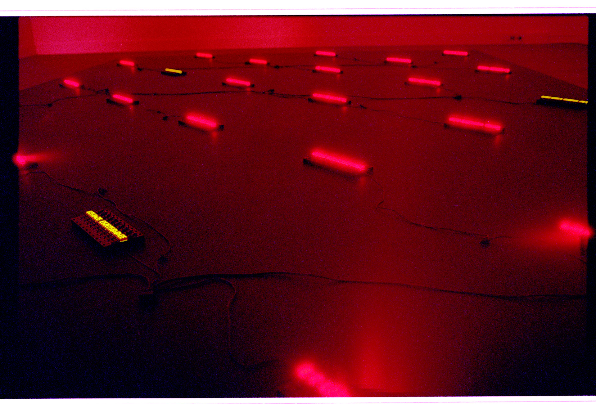 数字の明滅が示すもの。宮島達男が見つめる生死と変化 | Art | The