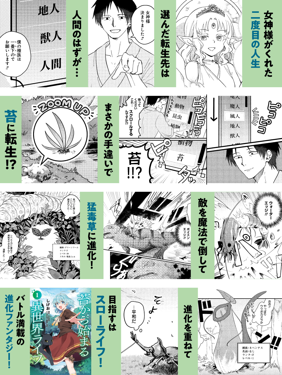 苔から始まる異世界ライフ1」しげお [カドコミ] - KADOKAWA