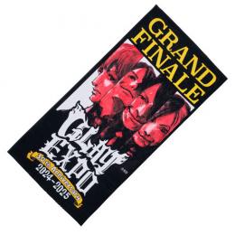 GLAY 30th Anniversary GLAY EXPO 2024-2025 GRAND FINALE | G-DIRECT