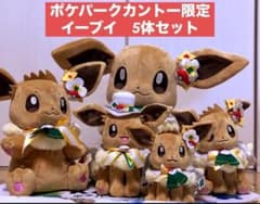 新品 ポケパークカントー ショップ 限定 イーブイ ぬいぐるみ5体セット