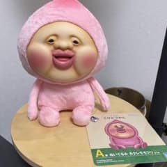 こびとづかん ぬいぐるみ A賞 カクレモモジリ - メルカリ