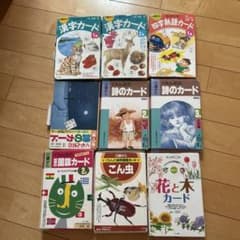 くもん式 知育カードセット 幼児 漢字・詩・四字熟語・国旗・昆虫・花