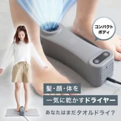 未使用箱あり】Livinfla HUWASARA コンパクトボディドライヤー - メルカリ