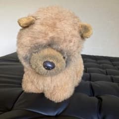 m16103531966_1.jpg?1715296894