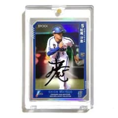 m16939201108_1.jpg?1708263746