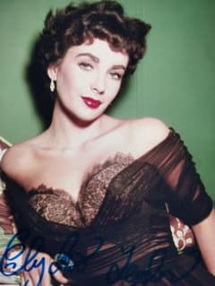 m17642170289_1.jpg?1710490956