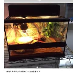 m176513106_1.jpg?1480774818