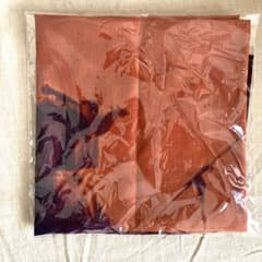 kanekoayano 武道館 ワンマンショー 2026 スカーフ カネコアヤノ