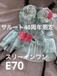新品未使用タグ付】 40周年限定 サルート スリーインワンE70 - メルカリ