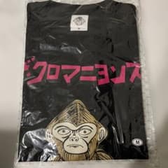 ザ・クロマニヨンズ ヨシオ 夏 スイカTシャツ Mサイズ 新品未使用