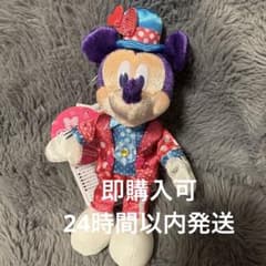 ディズニー パルパルーザ ミニーのファンダーランド ミッキー