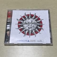 ハルカミライ DVD 日本武道館 - メルカリ