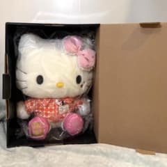 m25409991336_1.jpg?1746765720