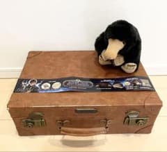 m26309695855_1.jpg?1736054090